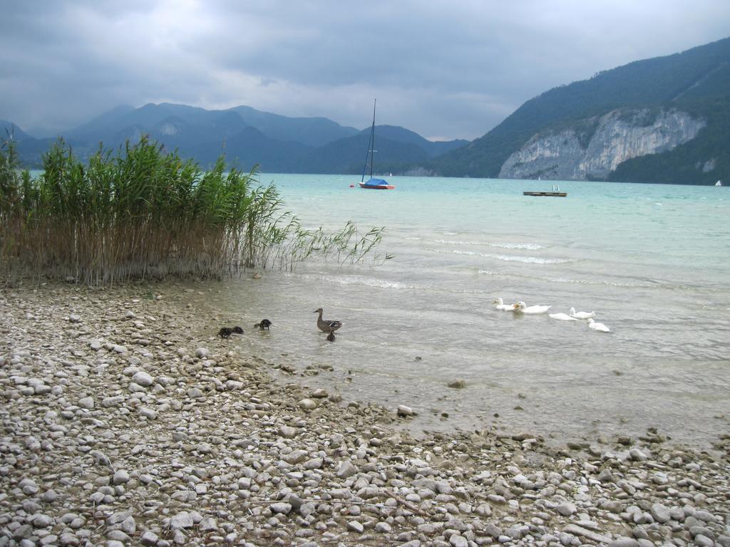 Landhaus Leitner Am Wolfgangsee Sankt Gilgen Eksteriør billede